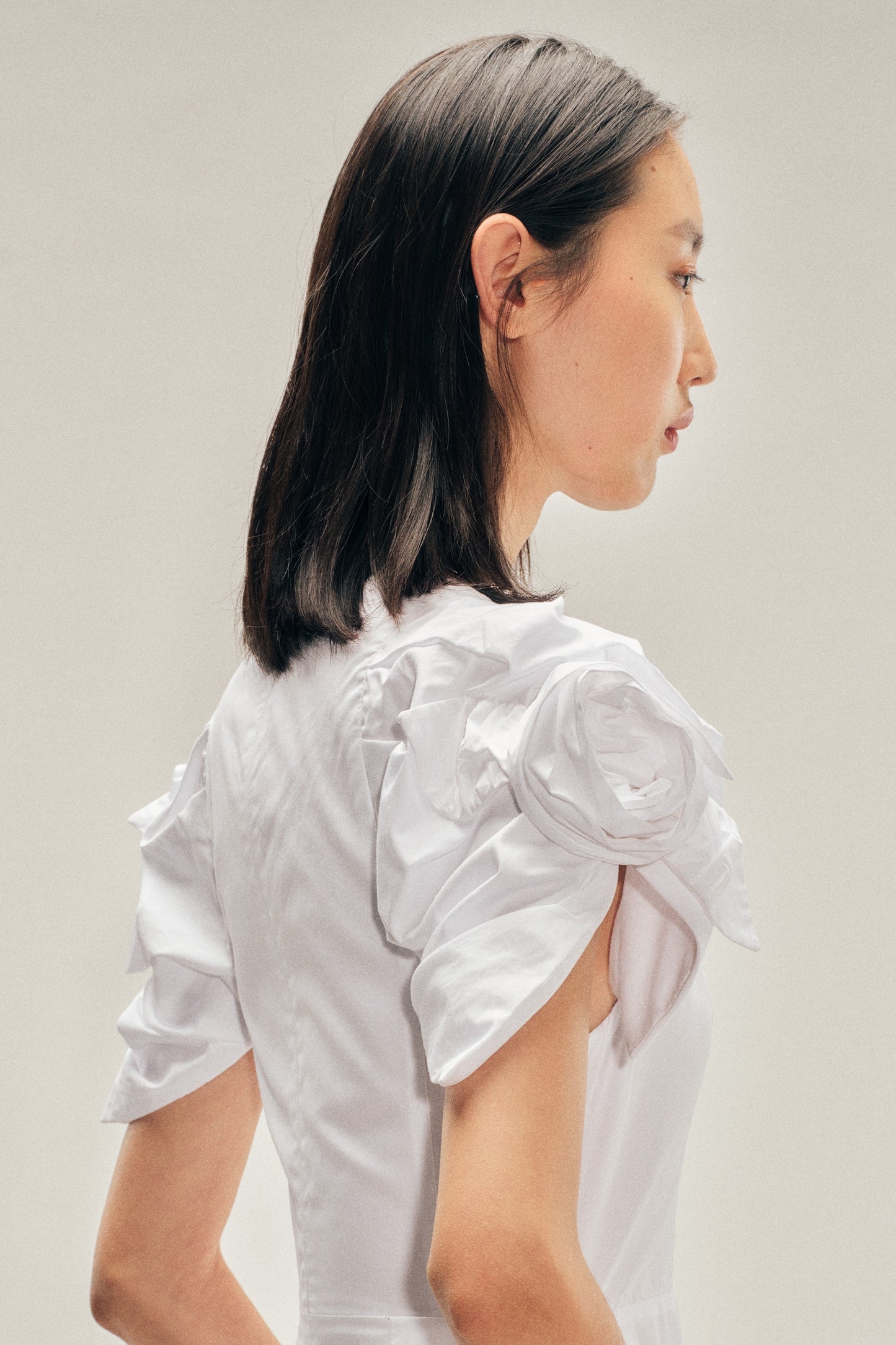 Rose Puff Sleeve Hip Dress