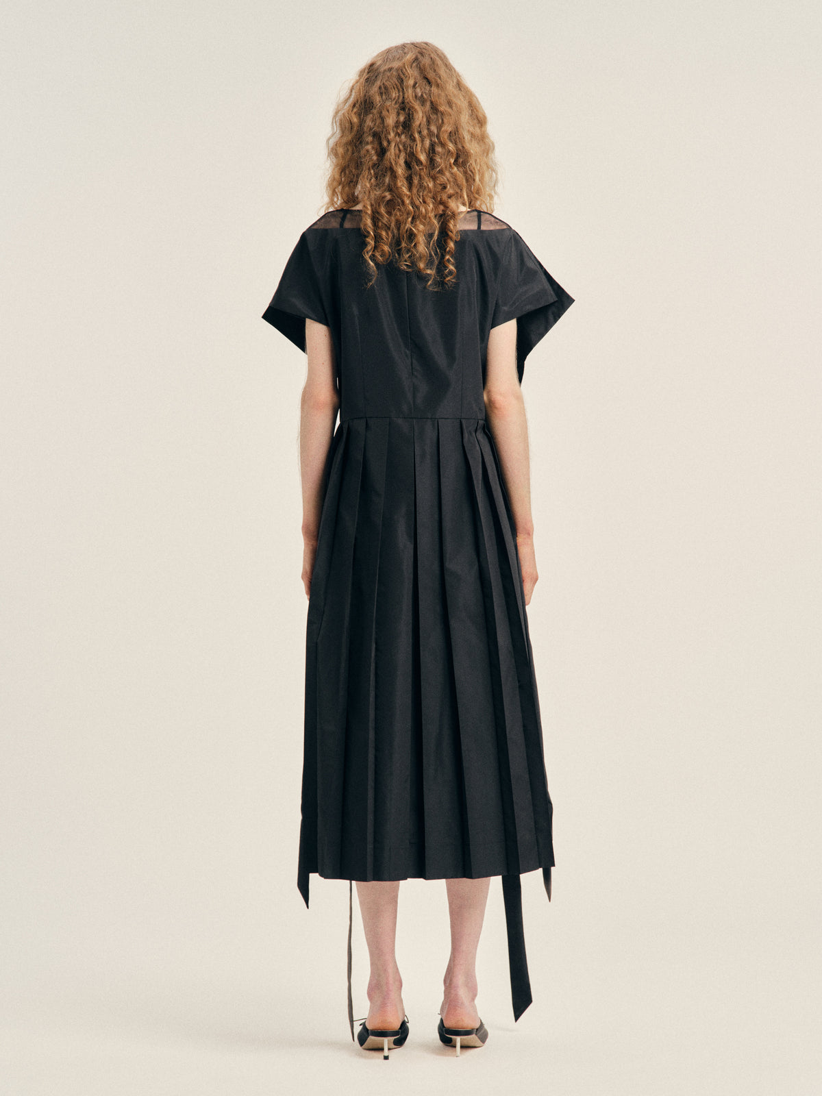 Pleated Sheer Panel Flare Dress