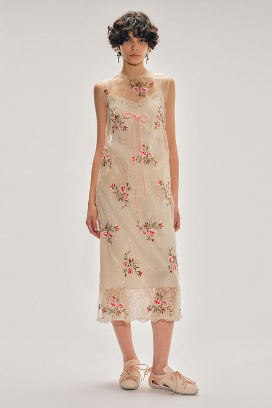 Sheer Frayed Contour Dart Dress