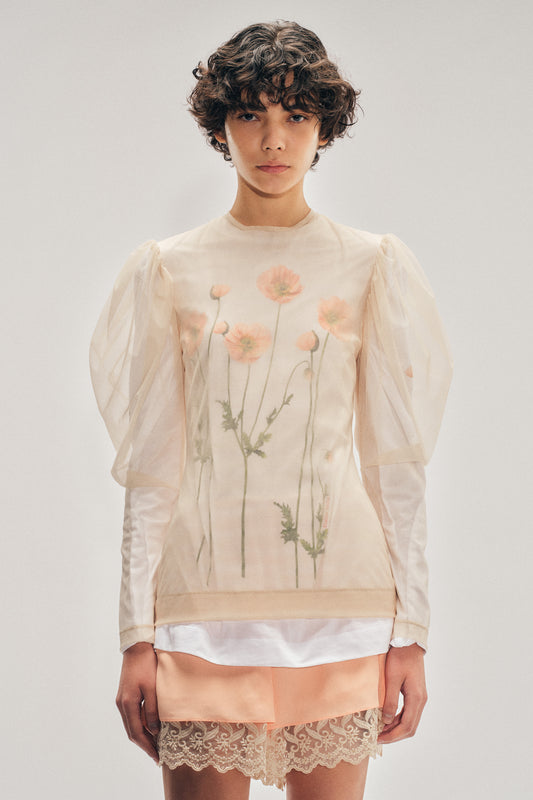 Sheer Draped Sleeve Top