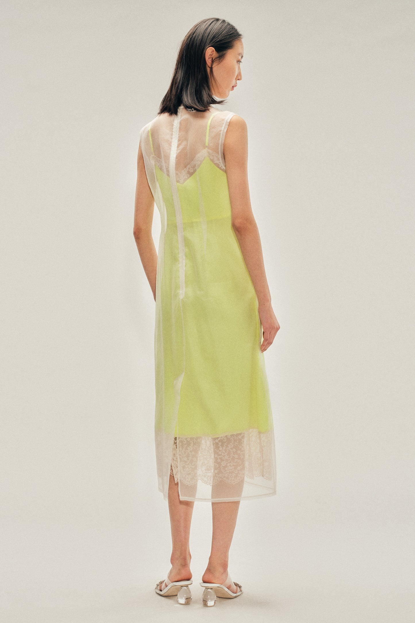 Embellished Sheer Frayed Contour Dart Dress
