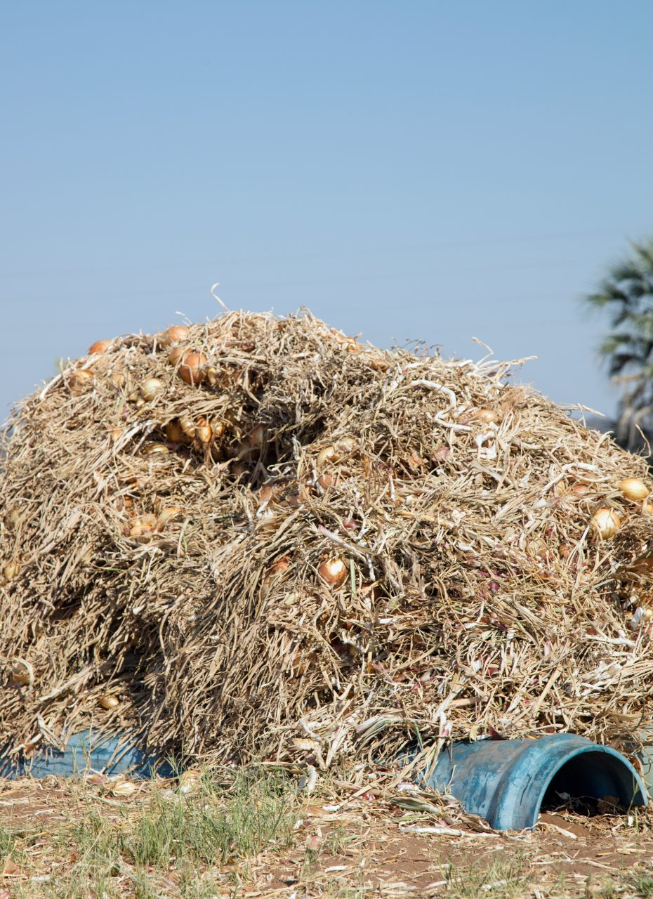 SS17 Limited Edition Book – Simone Rocha US