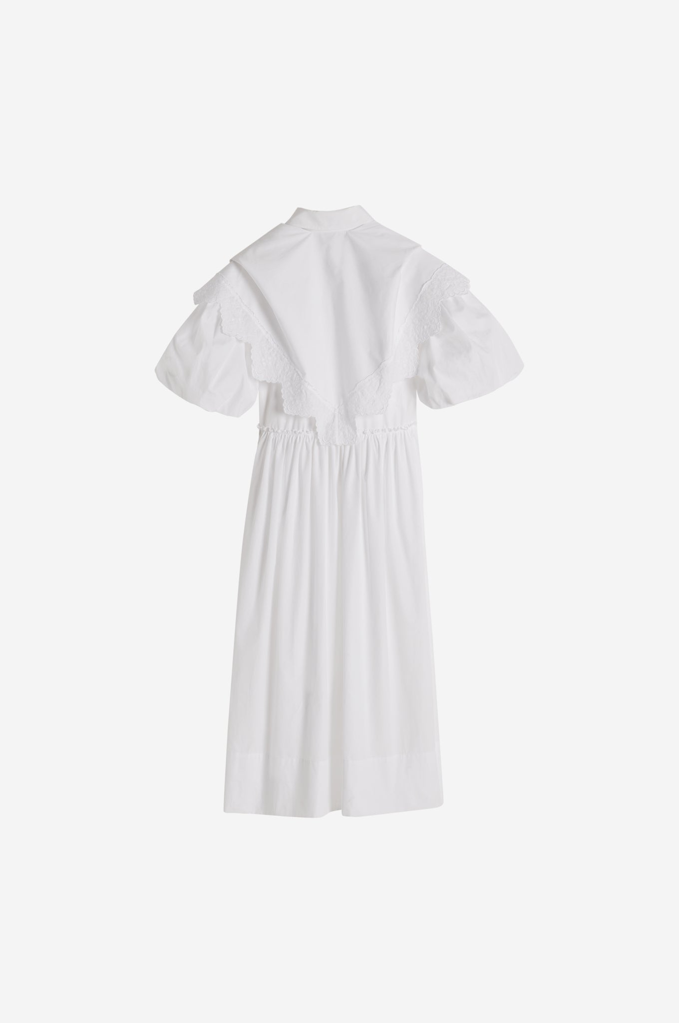 Pointed Collar Shirt Dress With Trim